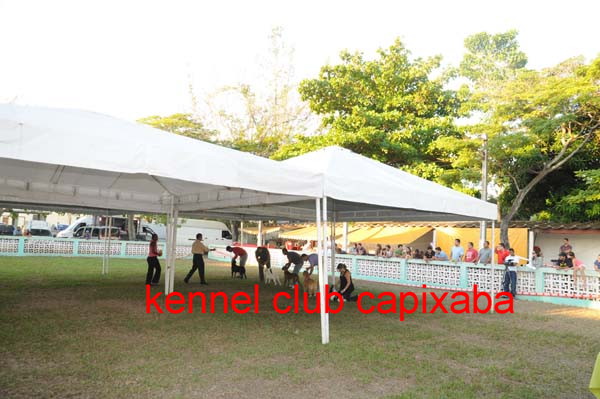 Clique sobre a foto para fechar